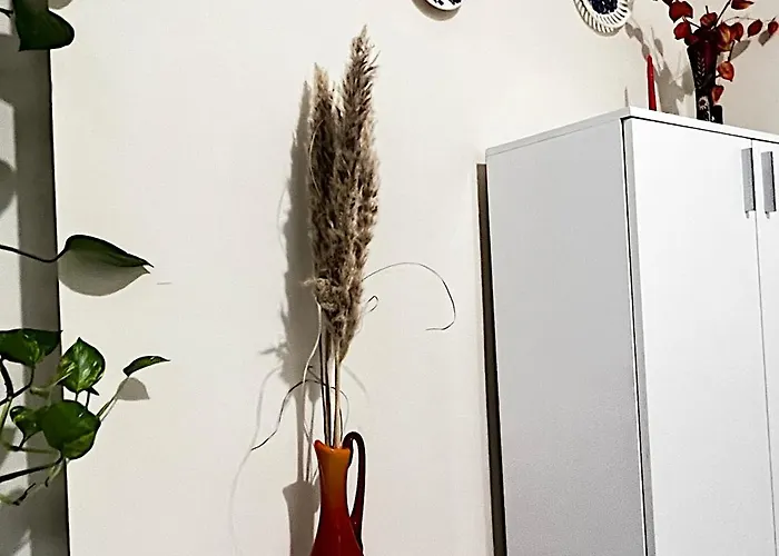 Great Location In The Center *