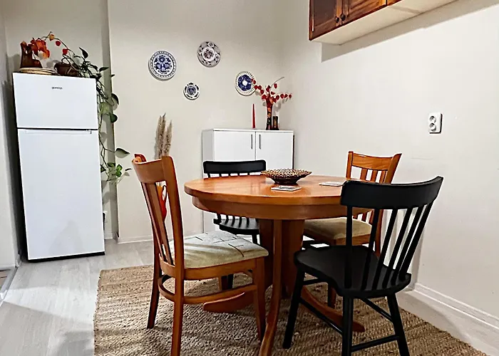 Great Location In The Center Lejlighed